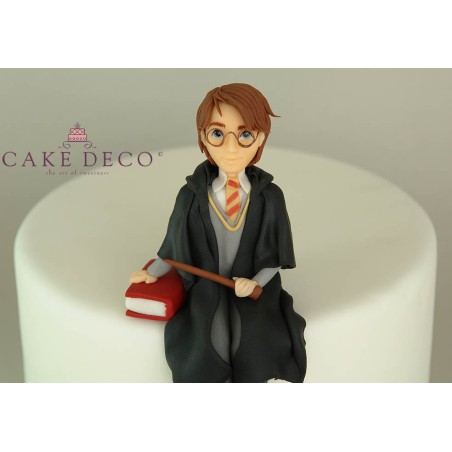 Harry Potter Character Figure