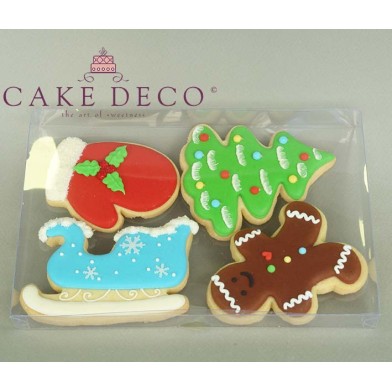 Clear Plastic Box for Cookies & Plaquettes 21x14xH2cm.
