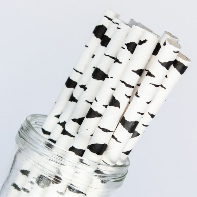Pattern Paper Straws Birch / Zebra Black