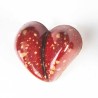 Καλούπι για Σοκολατάκια Καρδιά του Antonio Bachour και την Pavoni