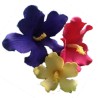 Λουλούδι Χαβάης Σετ 3 κουπάτ της FMM